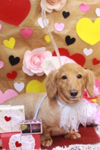 20230203レオンくん